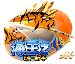 意义非凡！科比退役之战热身服拍出33.6万美元高价！